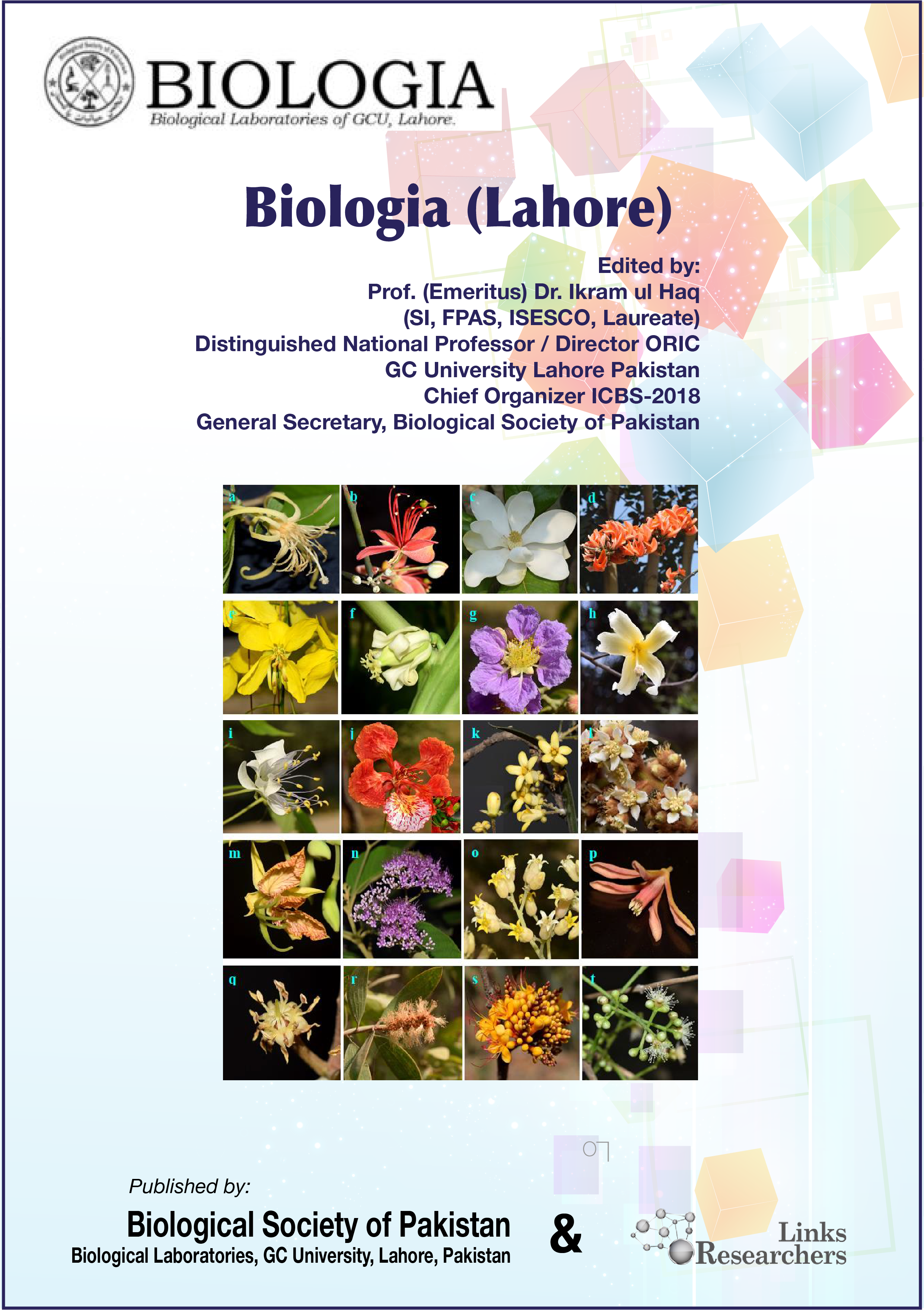 Biologia (Lahore)